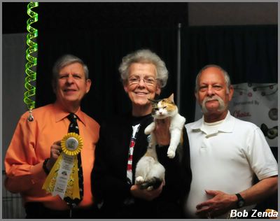 Jasmine Best HH Pet